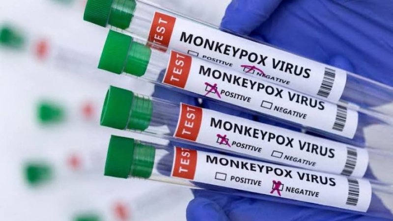 Brasil tem média de 40 a 50 novos casos de mpox por mês Repórter PB